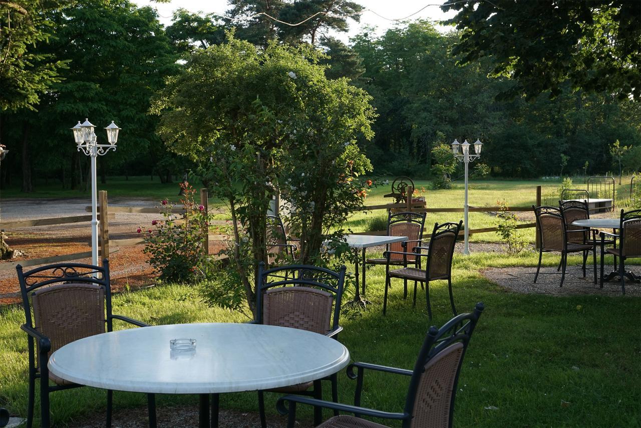 Hotel Restaurant La Sauldraie Salbris Exterior photo